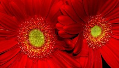 Cách cải thiện sự chú ý