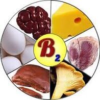 Vitamin B2 B2 cho não